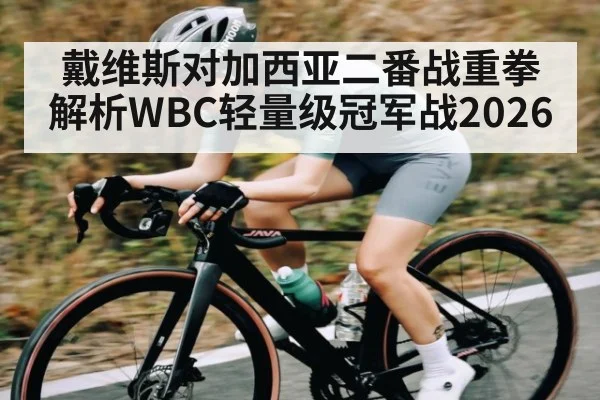 戴维斯对加西亚二番战重拳解析WBC轻量级冠军战2026