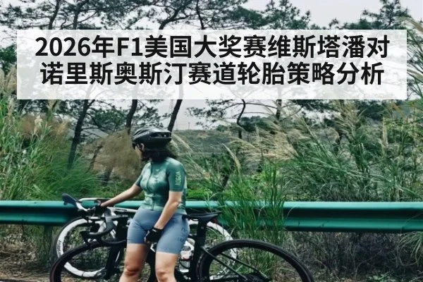 2026年F1美国大奖赛维斯塔潘对诺里斯奥斯汀赛道轮胎策略分析